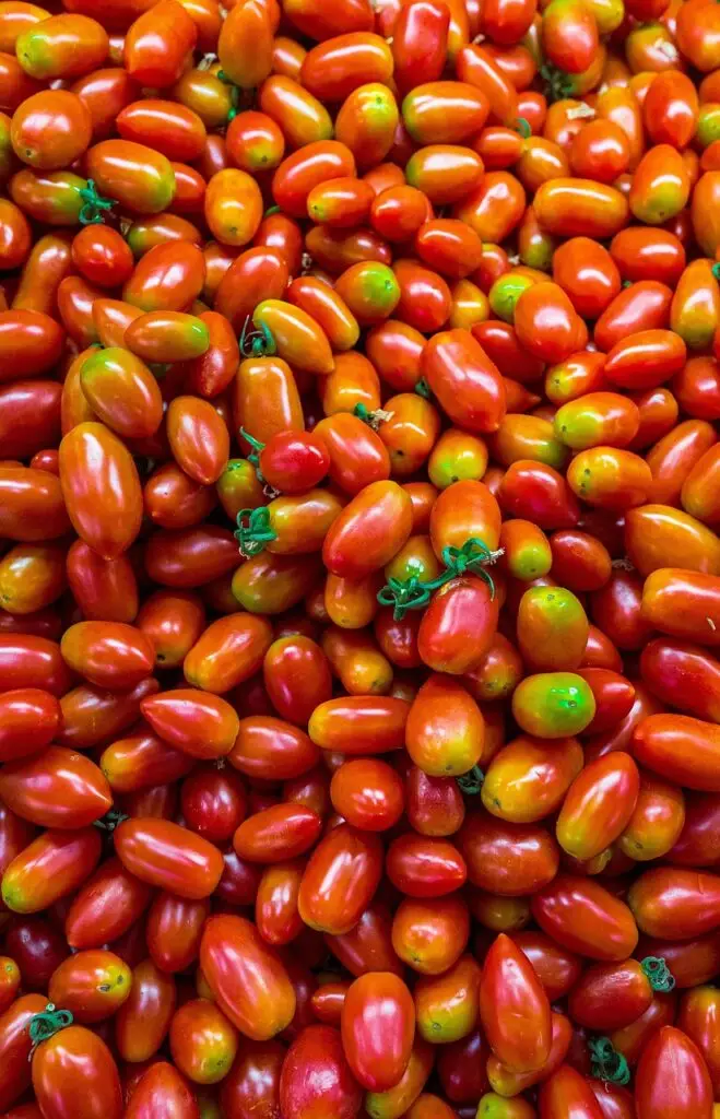 tomatoes, fresh, ripe